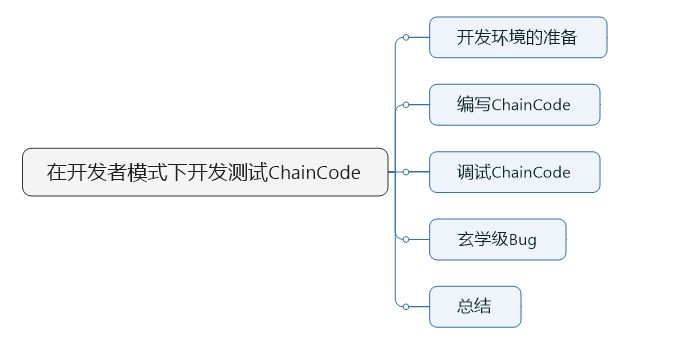 07-在开发者模式下调试chaincode